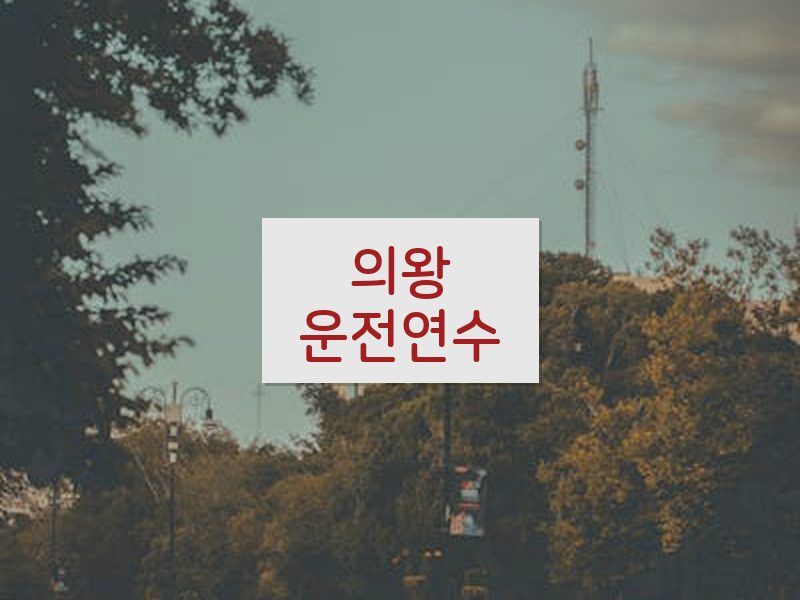 의왕운전연수 후기
