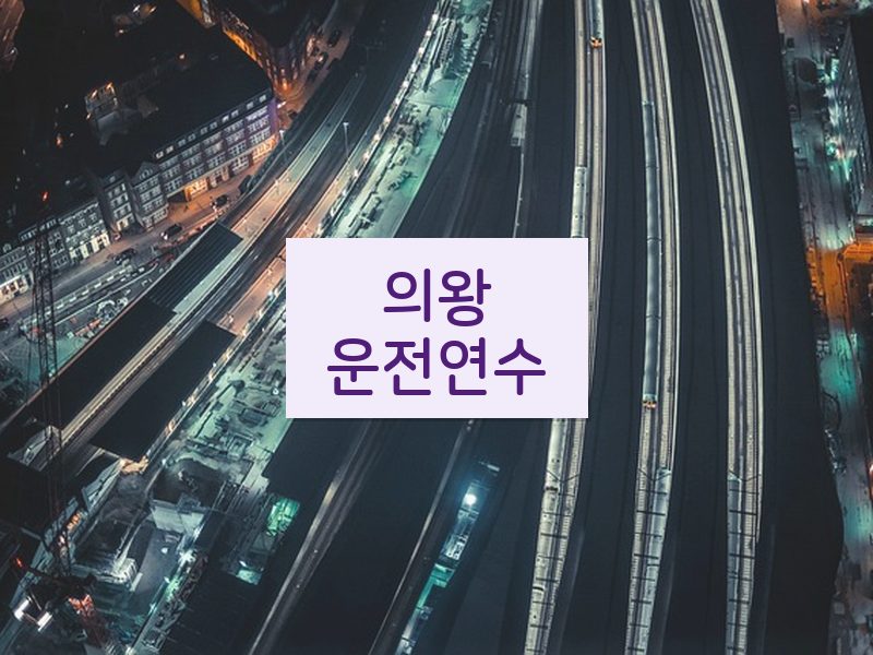 의왕운전연수 후기
