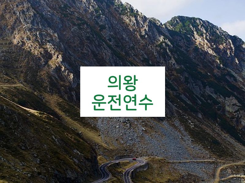 의왕운전연수 후기