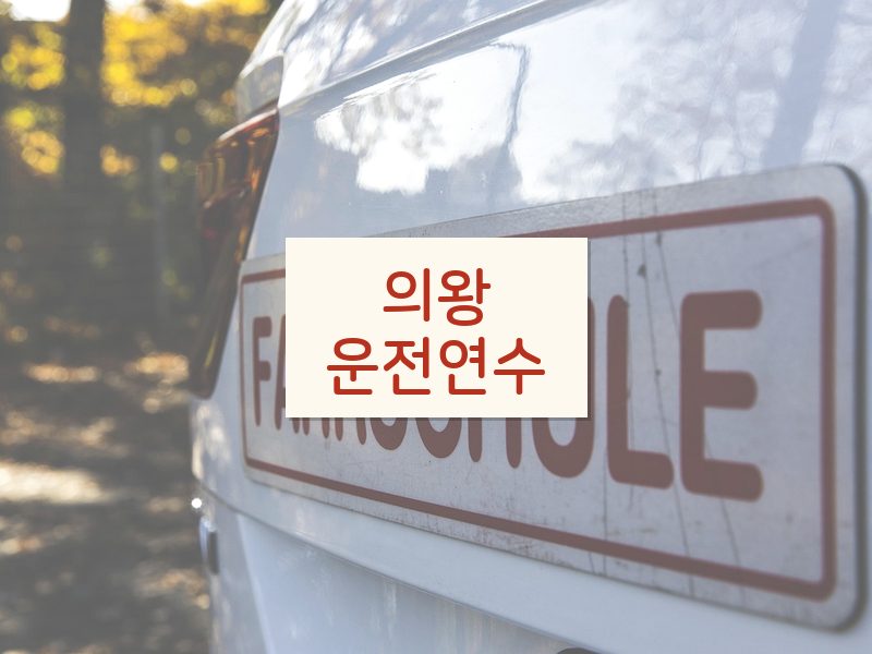 의왕운전연수 후기