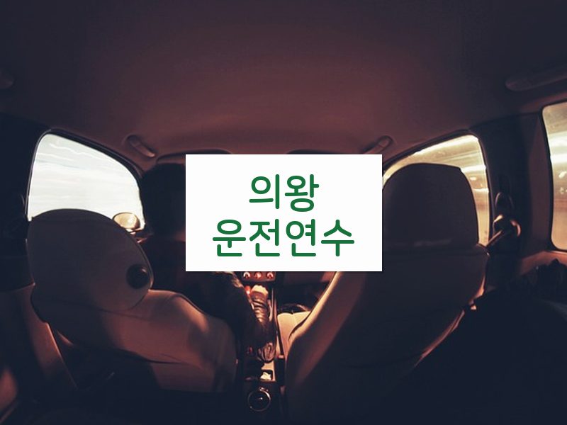 의왕운전연수 후기