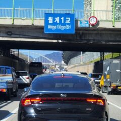 장기 코스 수강 후기