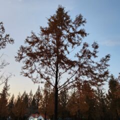 의왕 방문연수 후기