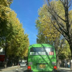 고속도로 합류 겁났어요!!