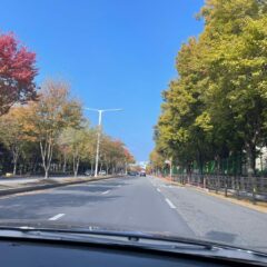 반복 연습으로 다소 완화