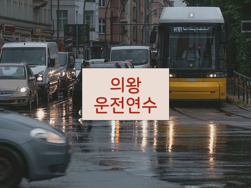 의왕운전연수 후기