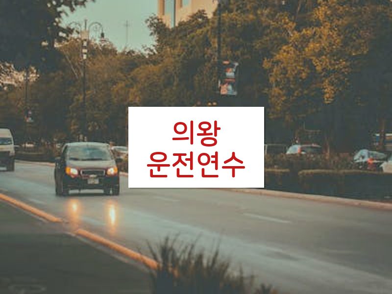 의왕운전연수 후기