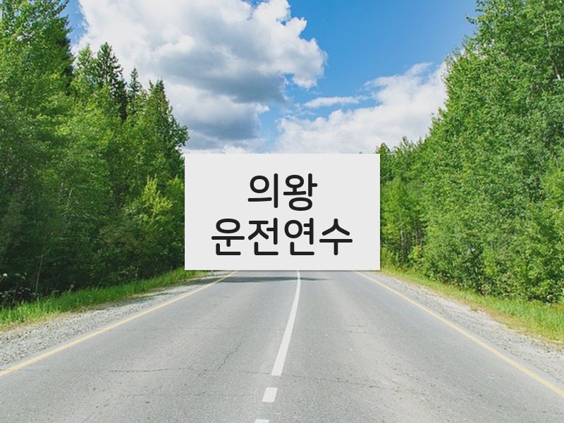 의왕운전연수 후기