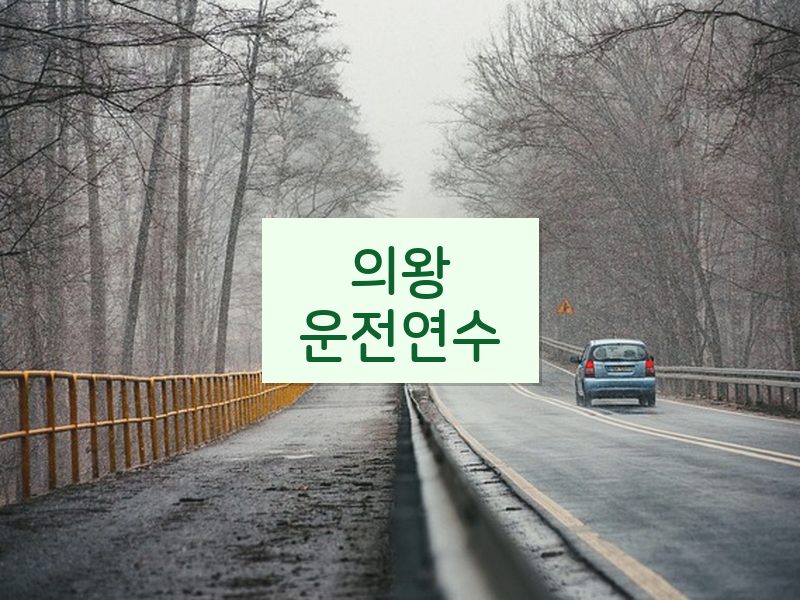 의왕운전연수 후기