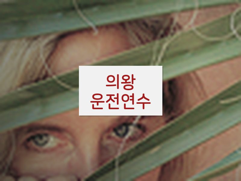 의왕운전연수 후기