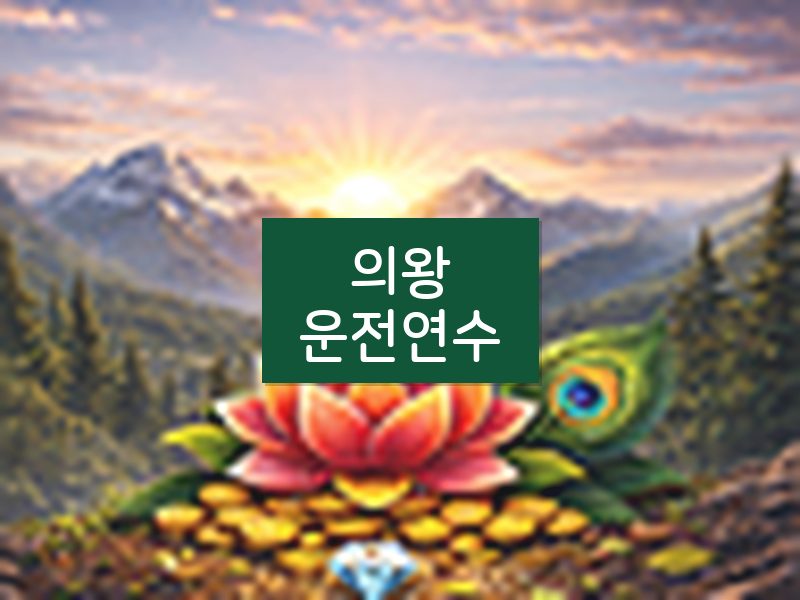 의왕운전연수 후기