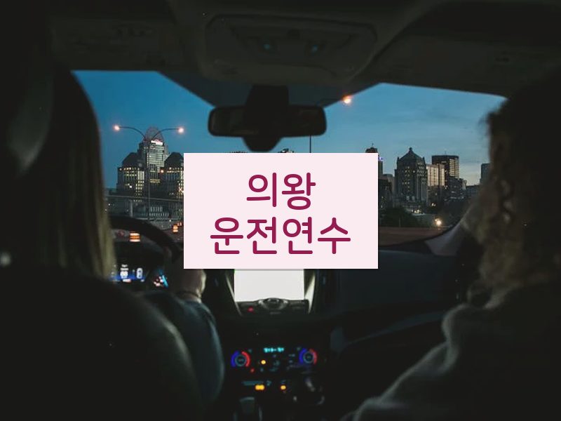 의왕운전연수 후기