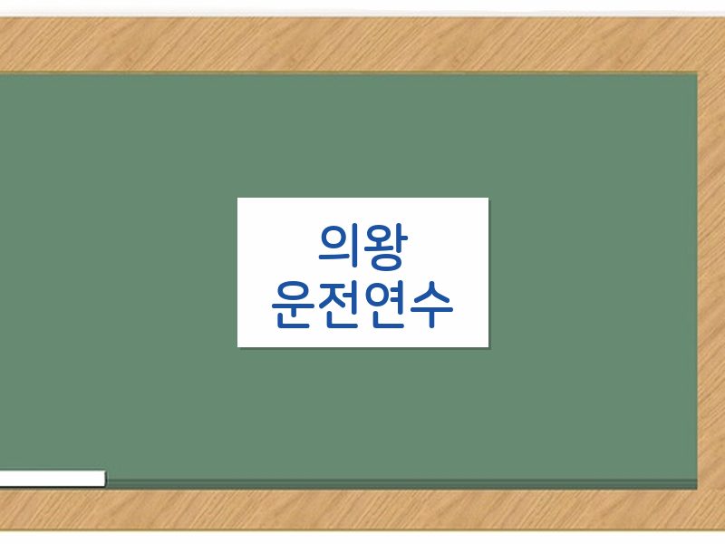 의왕운전연수 후기