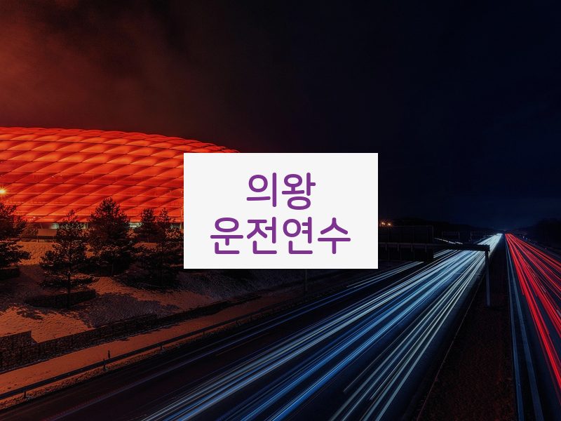 의왕운전연수 후기