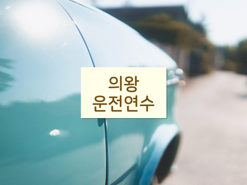 의왕운전연수 후기