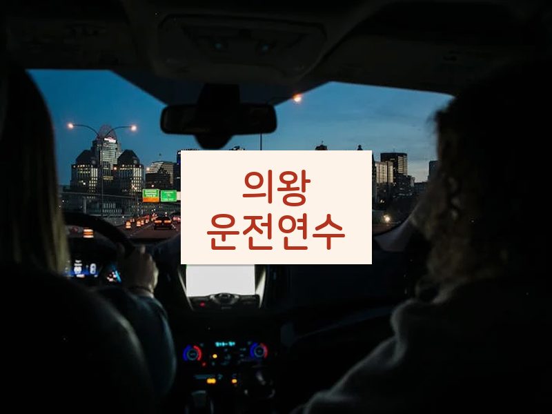 의왕운전연수 후기