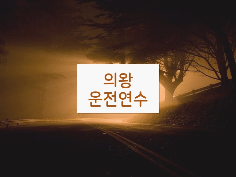 의왕운전연수 후기