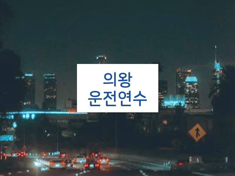 의왕운전연수 후기
