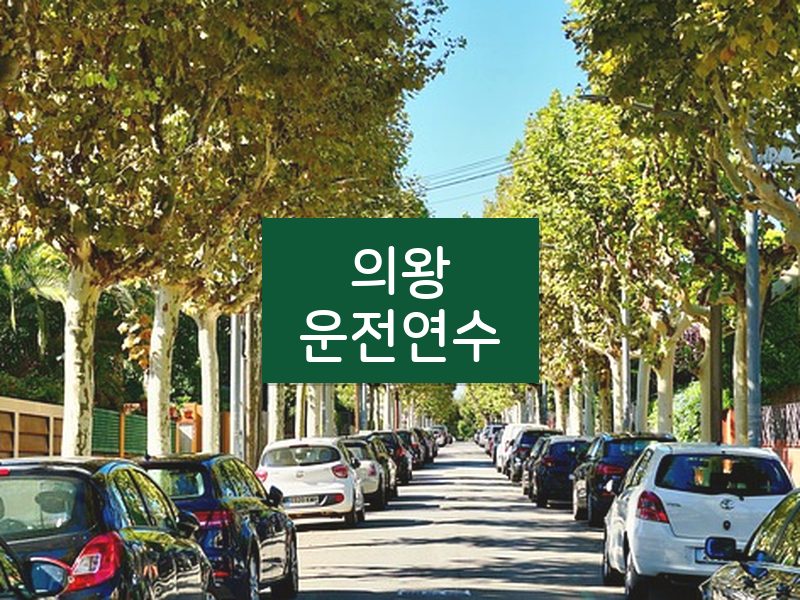 의왕운전연수 후기