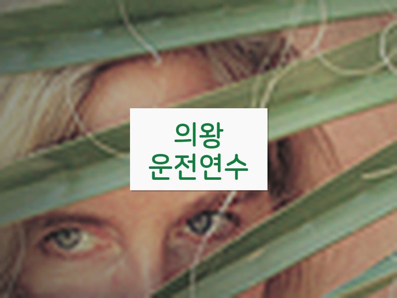 의왕운전연수 후기