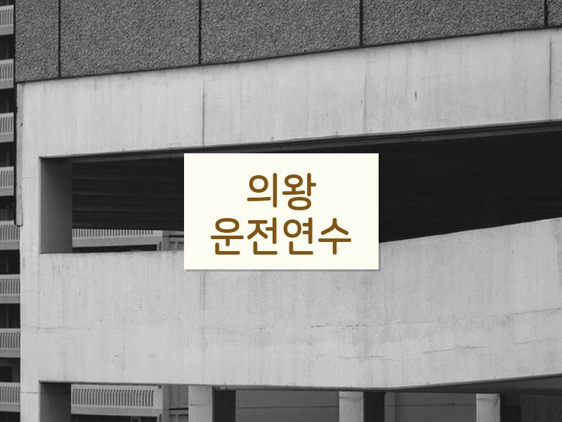 의왕운전연수 후기