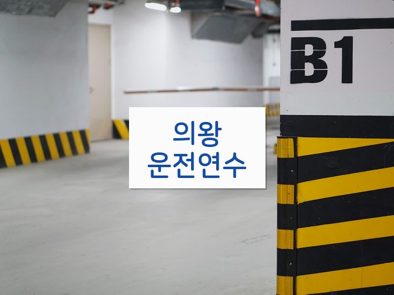 의왕운전연수 후기