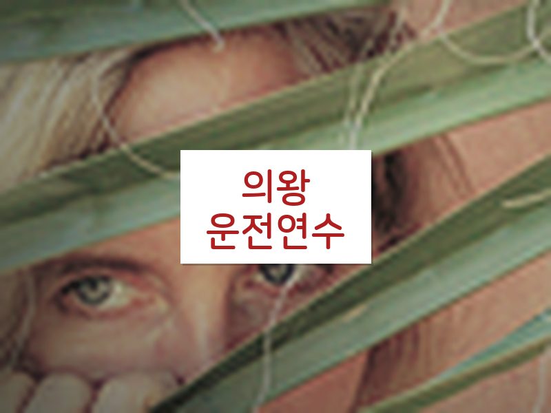 의왕운전연수 후기