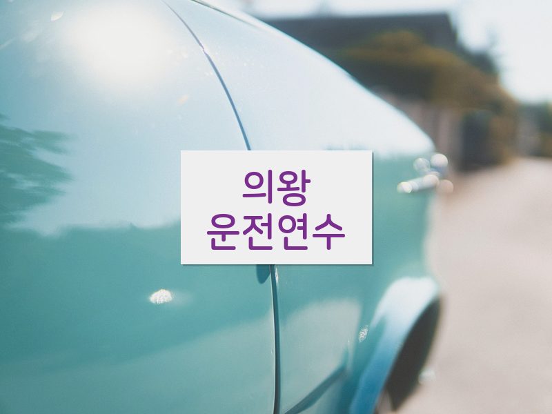 의왕운전연수 후기