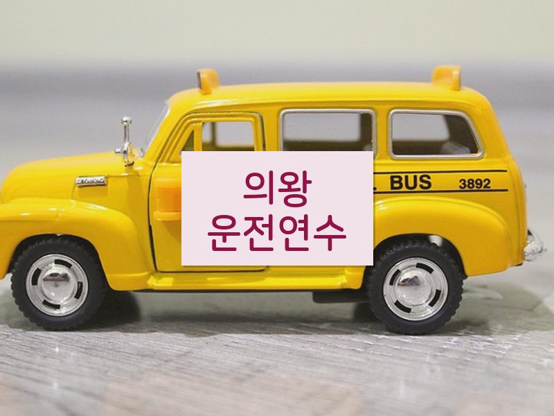 의왕운전연수 후기