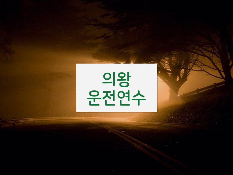 의왕운전연수 후기