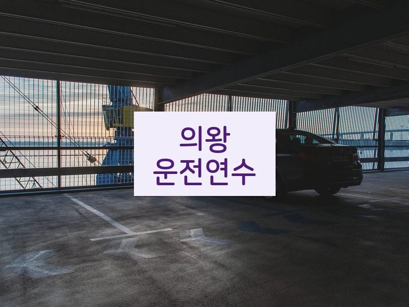 의왕운전연수 후기
