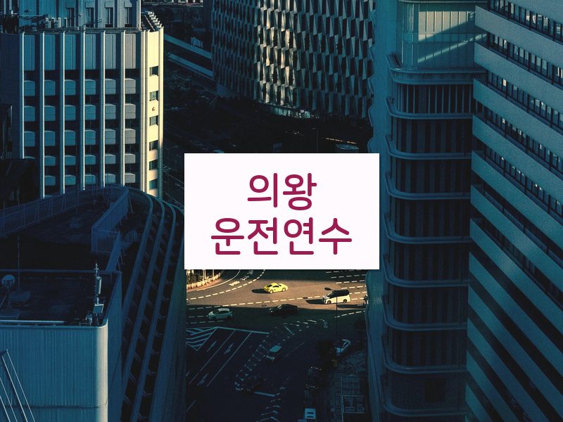 의왕운전연수 후기