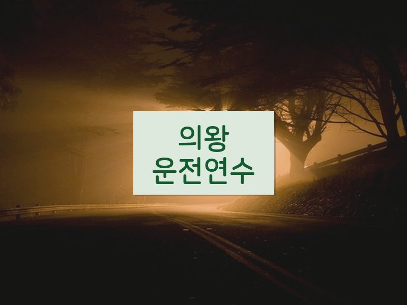 의왕운전연수 후기