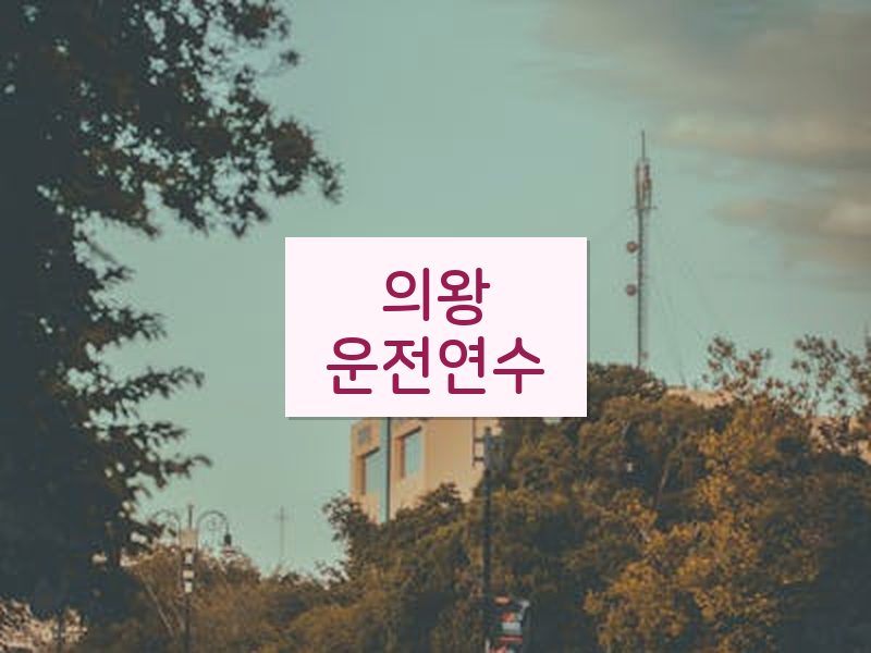 의왕운전연수 후기
