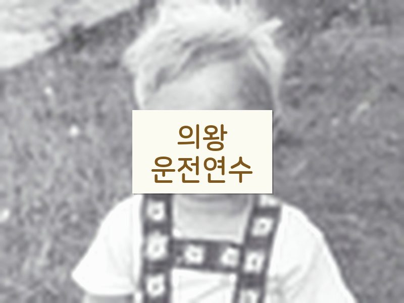 의왕운전연수 후기