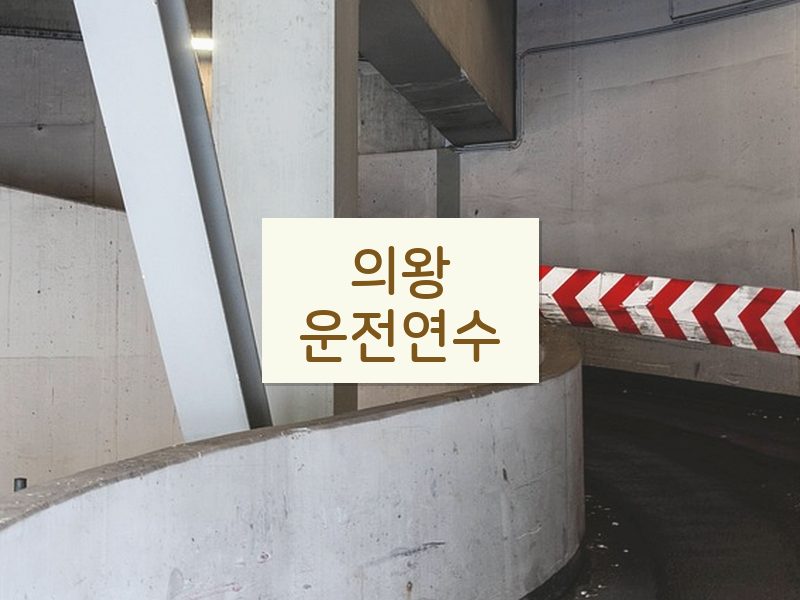 의왕운전연수 후기