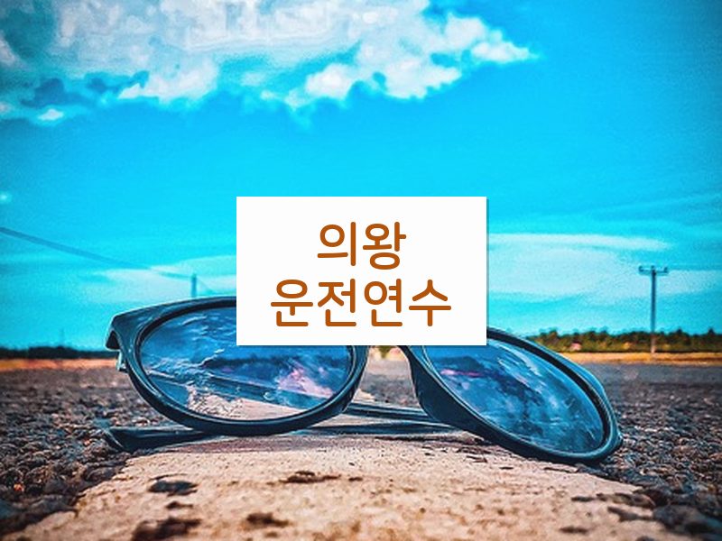 의왕운전연수 후기
