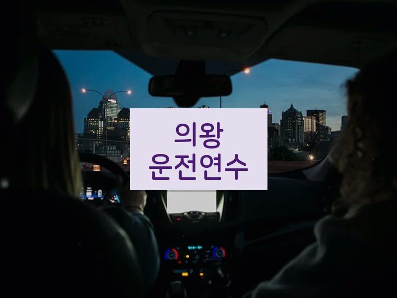 의왕운전연수 후기