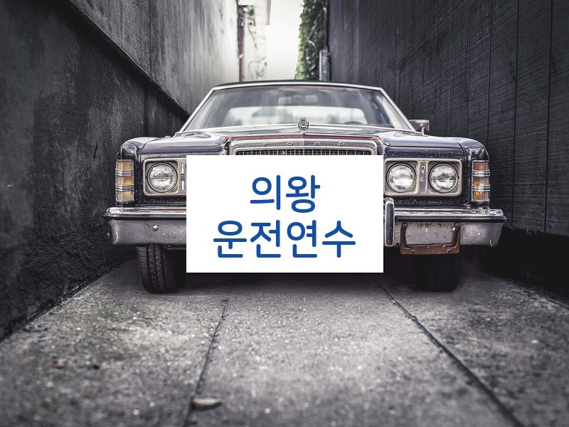 의왕운전연수 후기