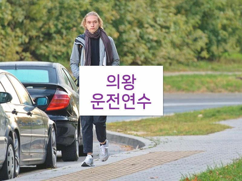 의왕운전연수 후기