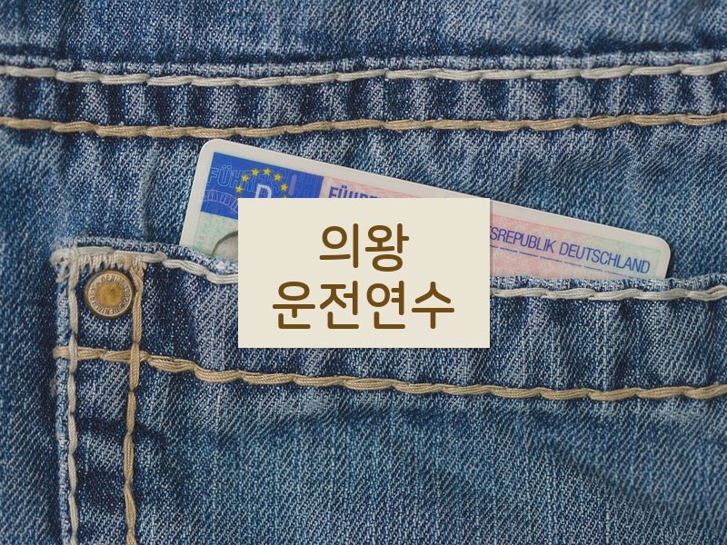 의왕운전연수 후기