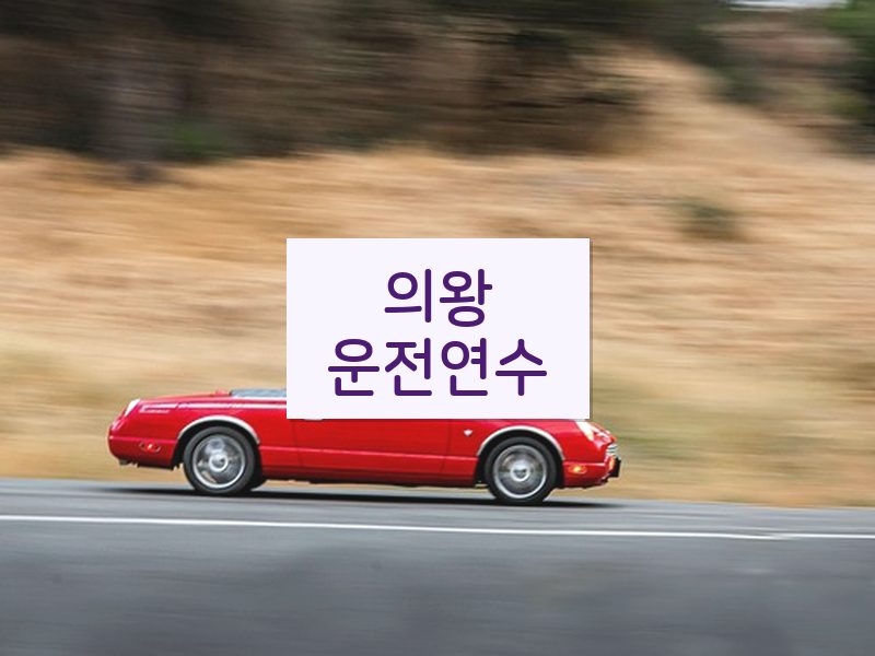 의왕운전연수 후기