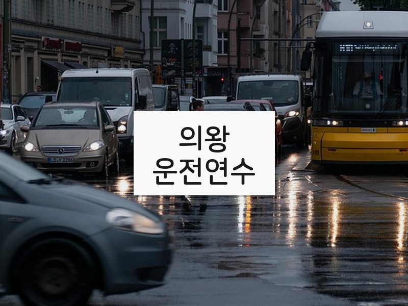 의왕운전연수 후기