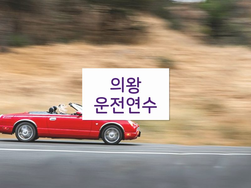 의왕운전연수 후기