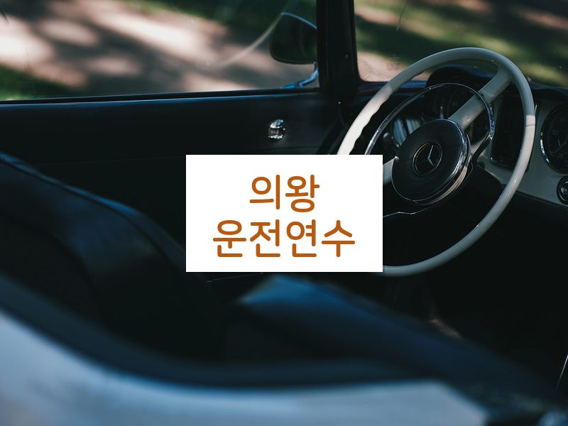 의왕운전연수 후기
