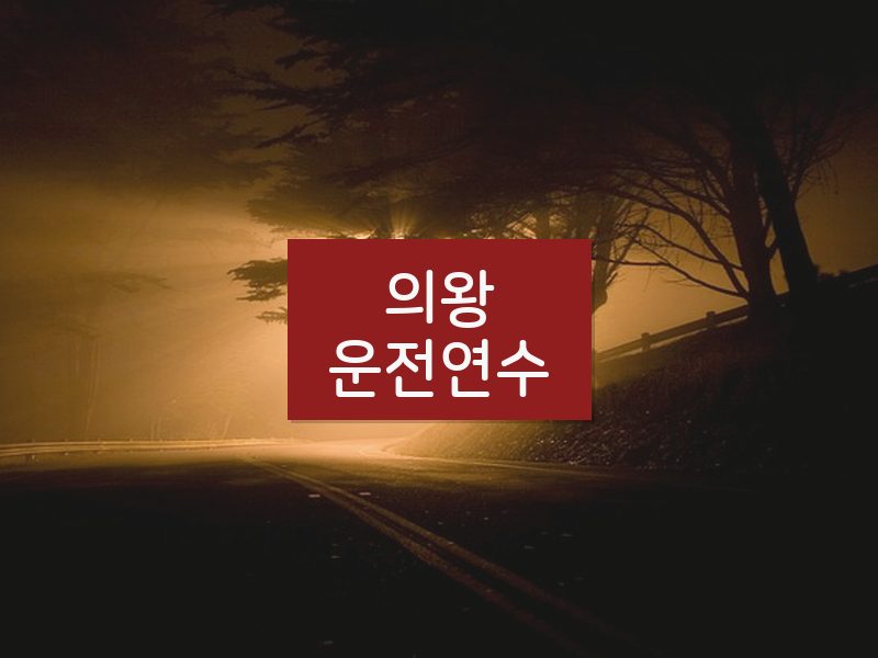 의왕운전연수 후기