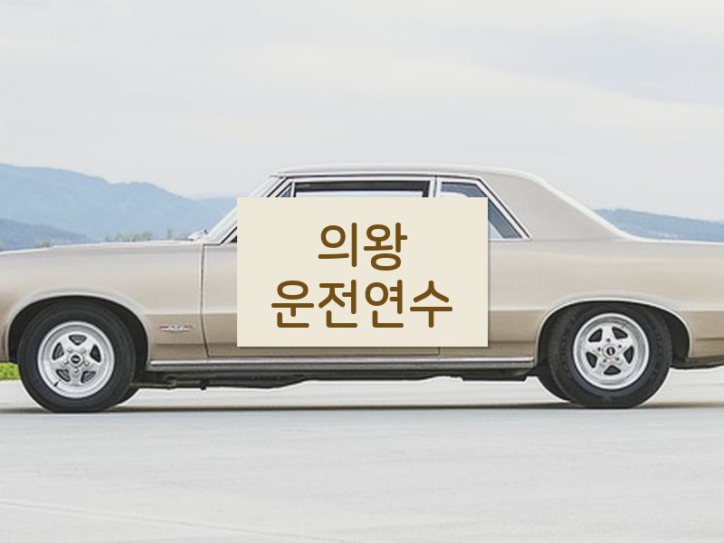 의왕운전연수 후기