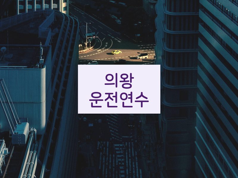 의왕운전연수 후기