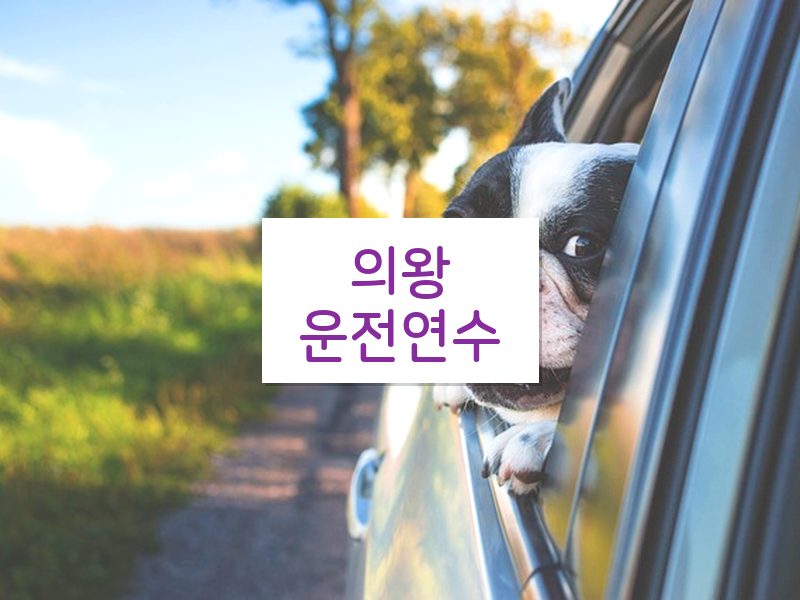 의왕운전연수 후기