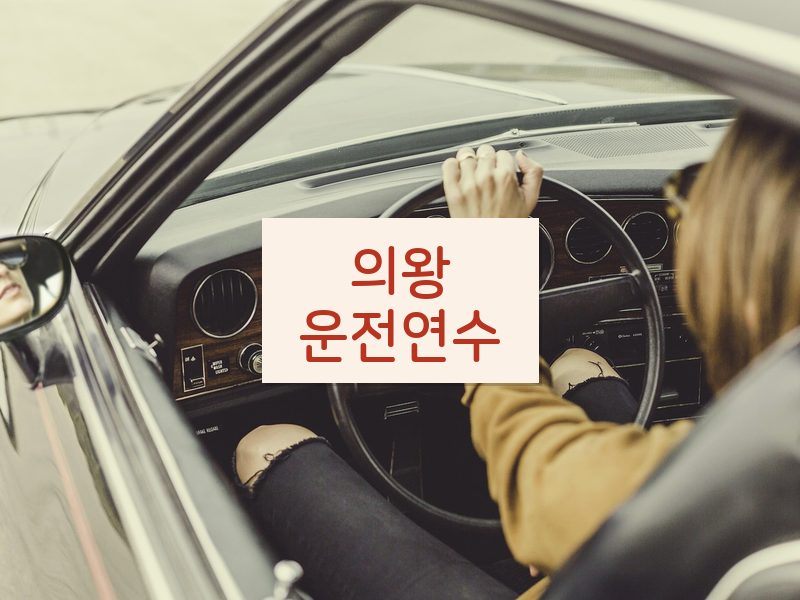 의왕운전연수 후기